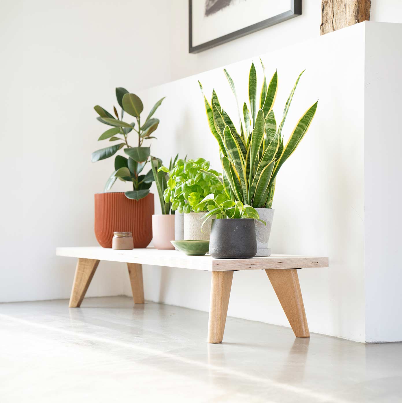 20cm Tapered Oak Table Legs