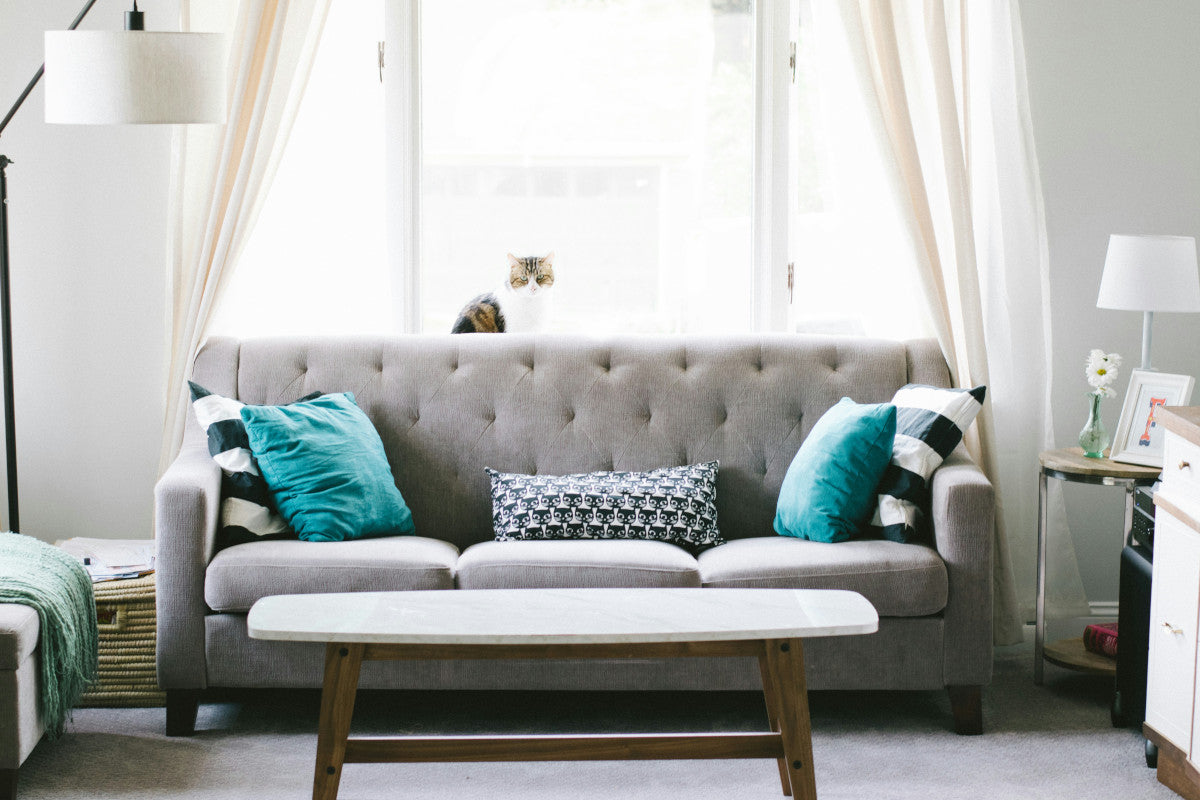 How to Fix Sofa Legs