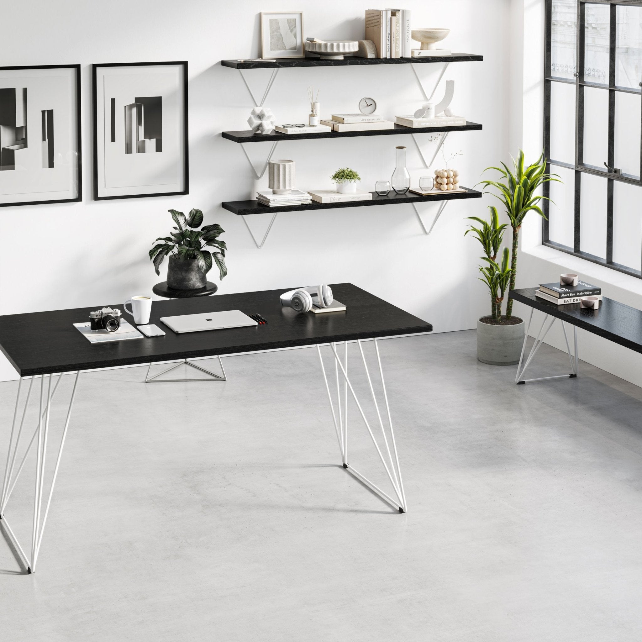 Black Ash Table top-Small (120cm x 60cm x 2.5cm)--The Hairpin Leg Co.